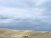 atv on dunes